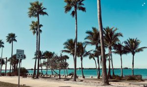 Palm Coast Florida