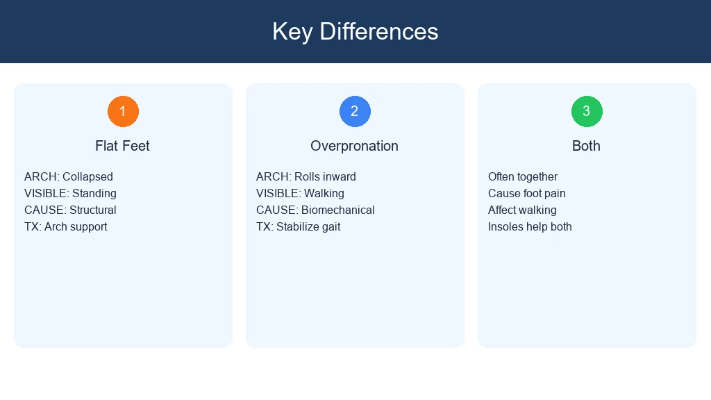 Key Differences