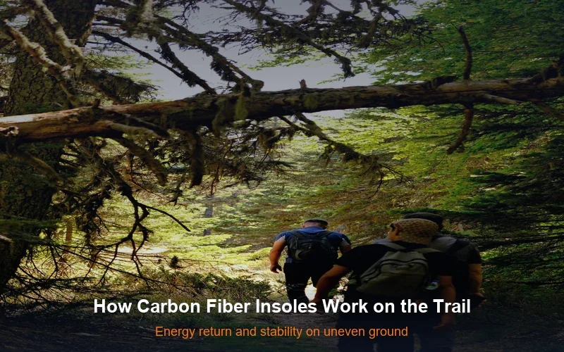 Group of hikers on forest trail - carbon fiber insoles reduce fatigue and improve stability